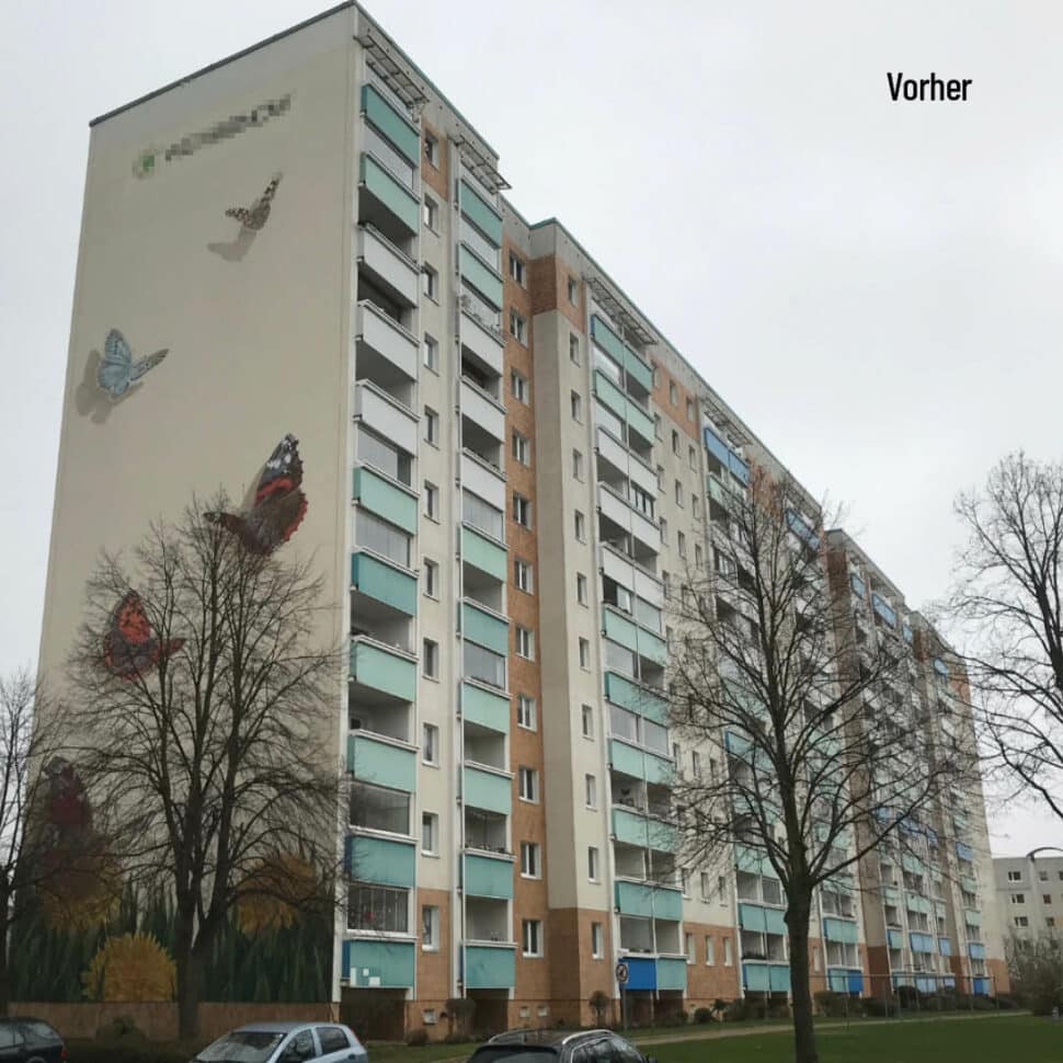 Schlanker, grüner und voller Energie  mit Balco