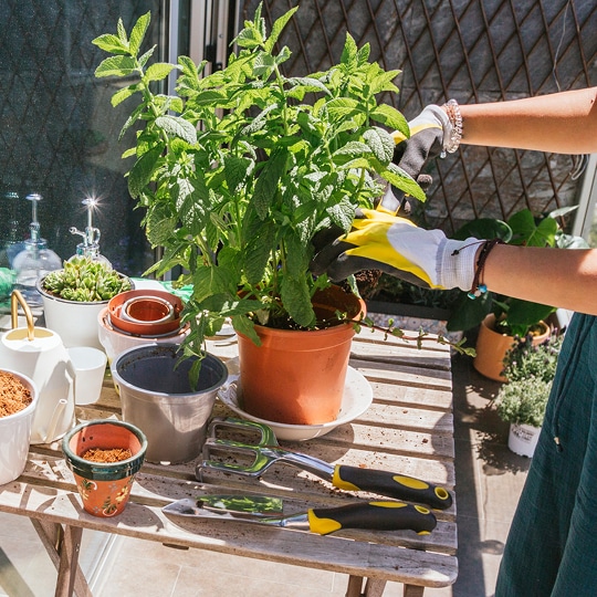 Balkongarten – Ein Hobby für die ganze Familie. Balkongarten anlegen – Balcos beste Tipps für Ihr grünes Paradies